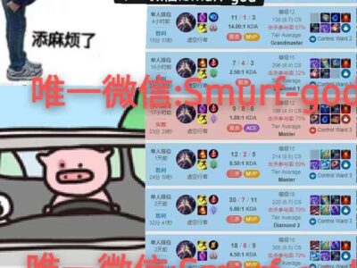 代练到大师2