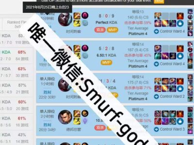 澳服LOL白金陪练