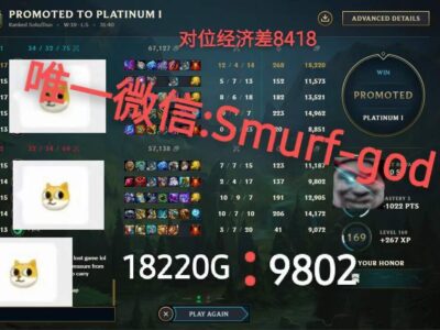 白金代练2
