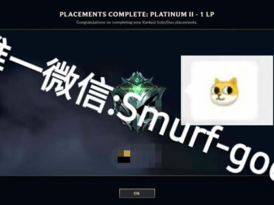 白金定位