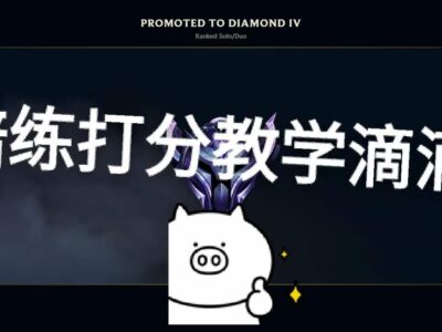 美服LOL 代过D4晋升