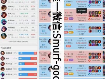 美服LOL单排代练FLEX晋升PLAT