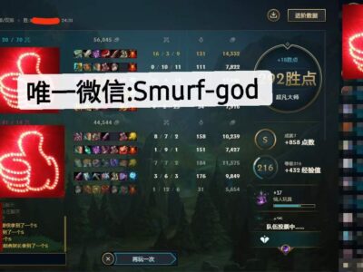 美服LOL 大师维护