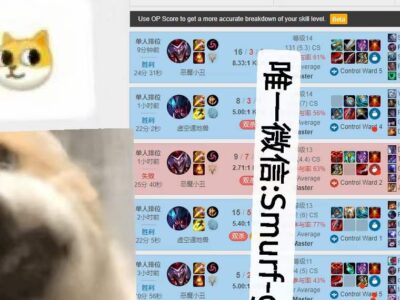 大师打分（维护） 美服LOL