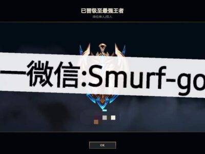 打分（维护）已至王者 美服LOL