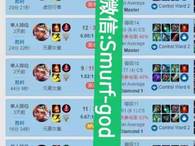 美服LOL代练至大师