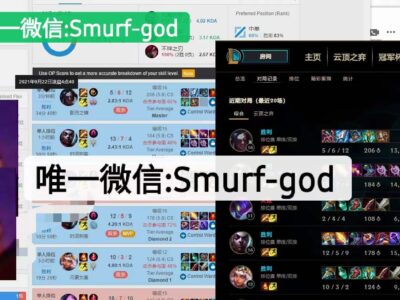 美服LOL代练至大师2