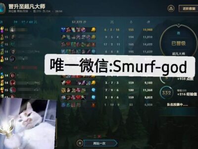 美服lol大师代练