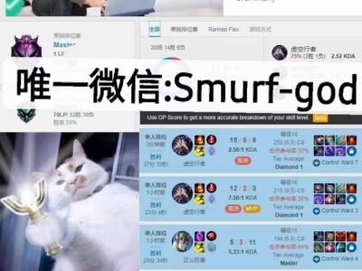 美服LOL代练至大师