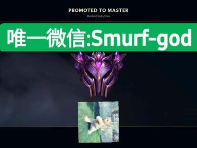 美服lol代练晋至大师