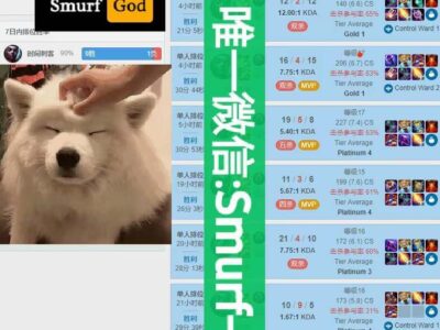 s12lol美服lol代练钻石定位赛9胜
