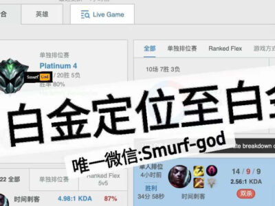 白金定位代练至白金美服lol