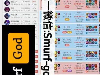 美服英雄联盟lol代练至大师+维护一局