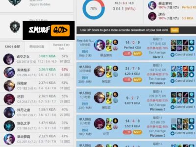 美服LOL白金陪练ADC+1FLEX